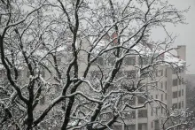 Весенний снегопад в Воронеже_2