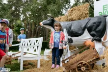 Семейный фестиваль «Много молока» в парке «Алые паруса»_1