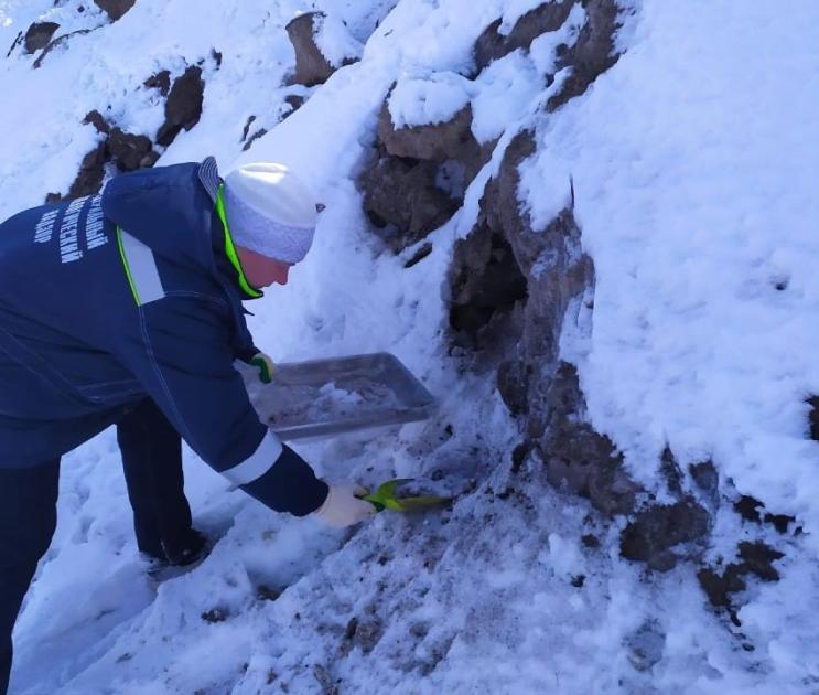Инспекторы Росприроднадзора обнаружили нарушения на 2-х снежных полигонах в Воронеже
