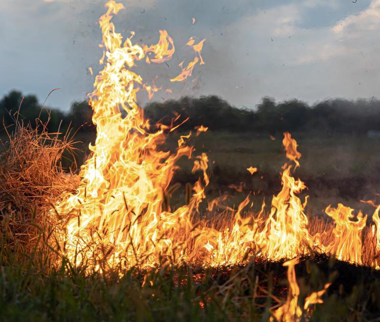 Ландшафтный пожар площадью 900 «квадратов» зафиксировали в районе Черноземья