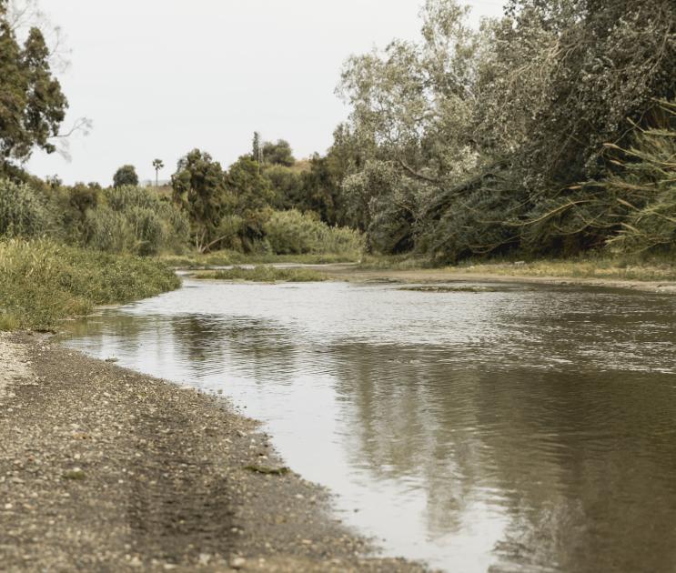 Уровень воды в реке Хопёр в Черноземье за сутки увеличился на 28 сантиметров