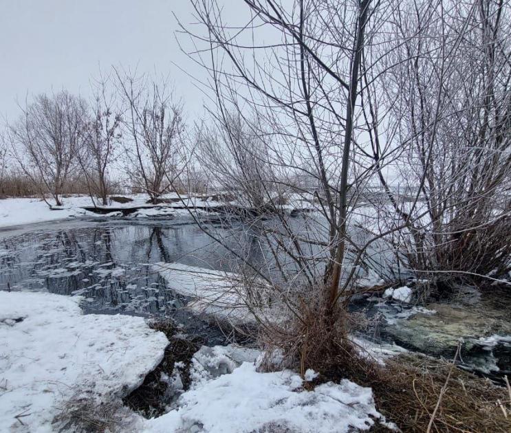 Неизвестные загрязнили сточными водами реку Усмань в Черноземье