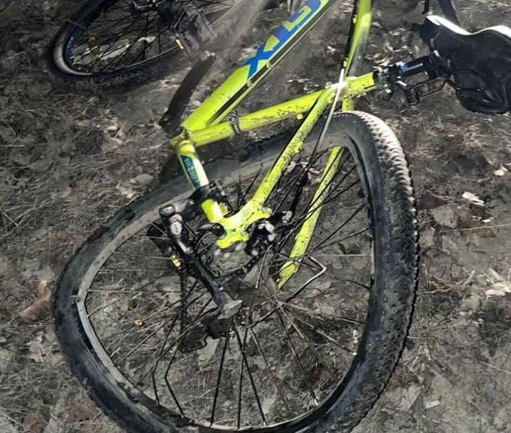 Нетрезвый велосипедист попал под колёса иномарки на трассе в Черноземье
