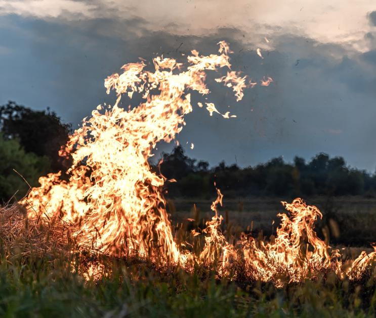 45 ландшафтных пожаров произошло в Воронежской области за сутки