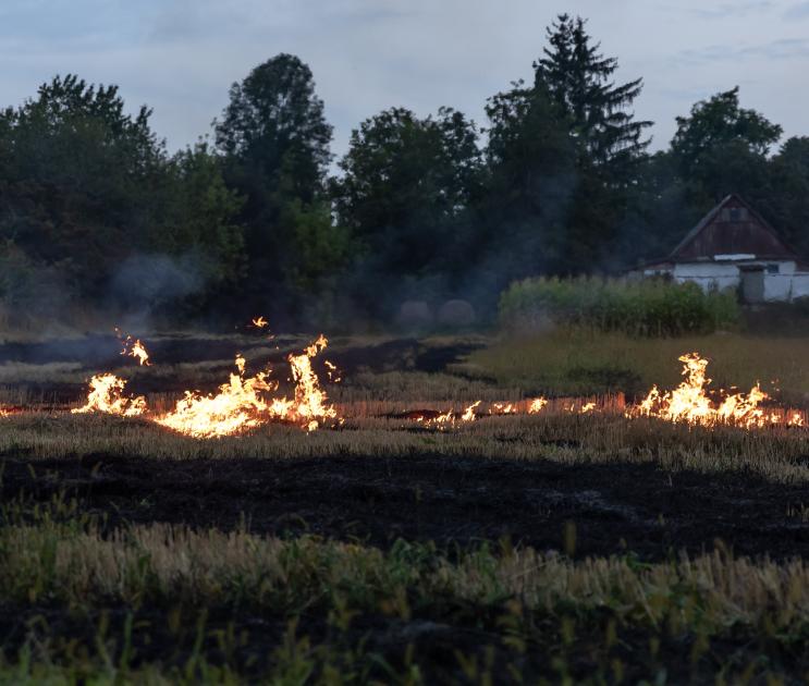 4-й класс пожарной опасности установили в пяти районах Черноземья