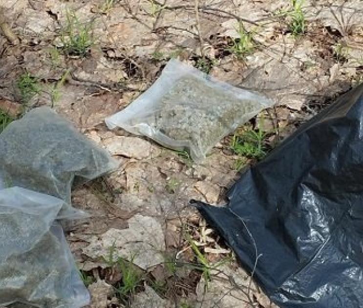 Три свёртка с наркотиками обнаружили полицейские в Воронежском заповеднике