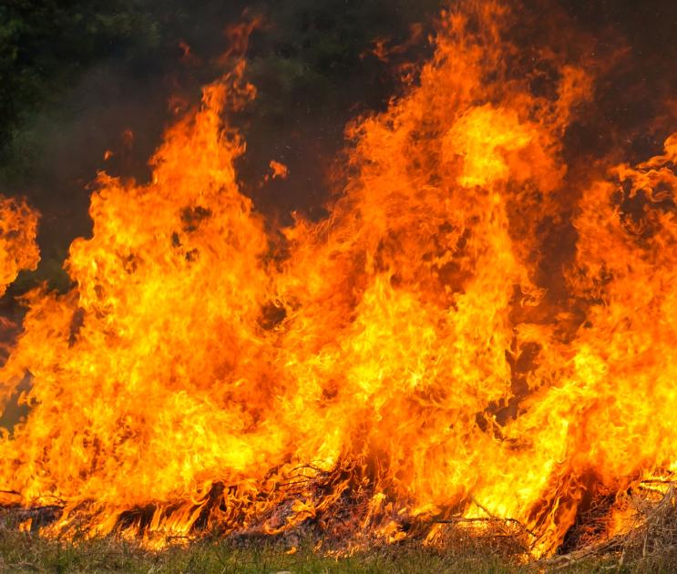 Воронежская область попала в зону риска возникновения ЧС из-за лесных пожаров