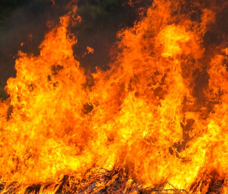 Более 600 ландшафтных пожаров произошло в Воронежской области за 2 месяца